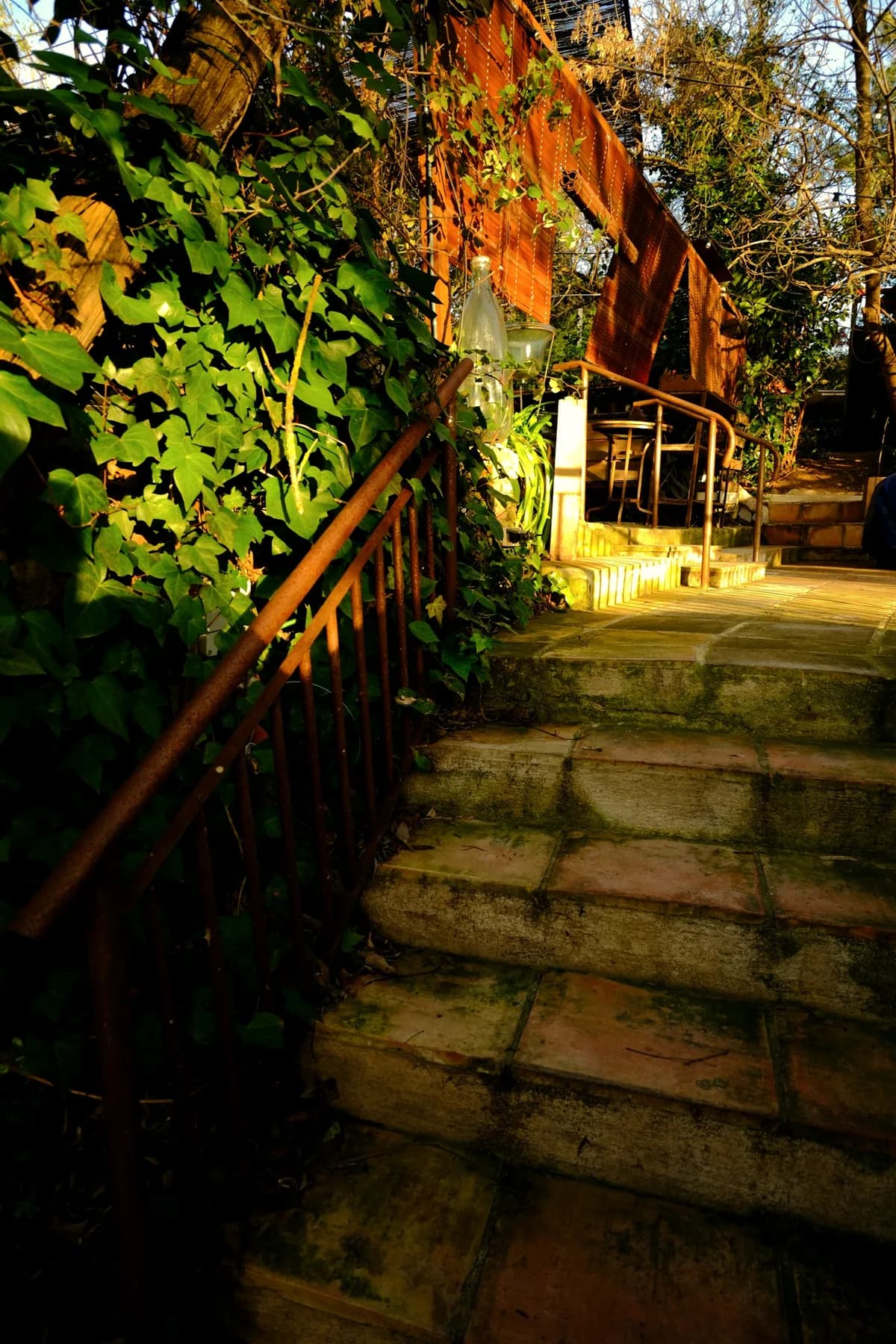 Stone steps lit low in the evening, ivy on the wall
