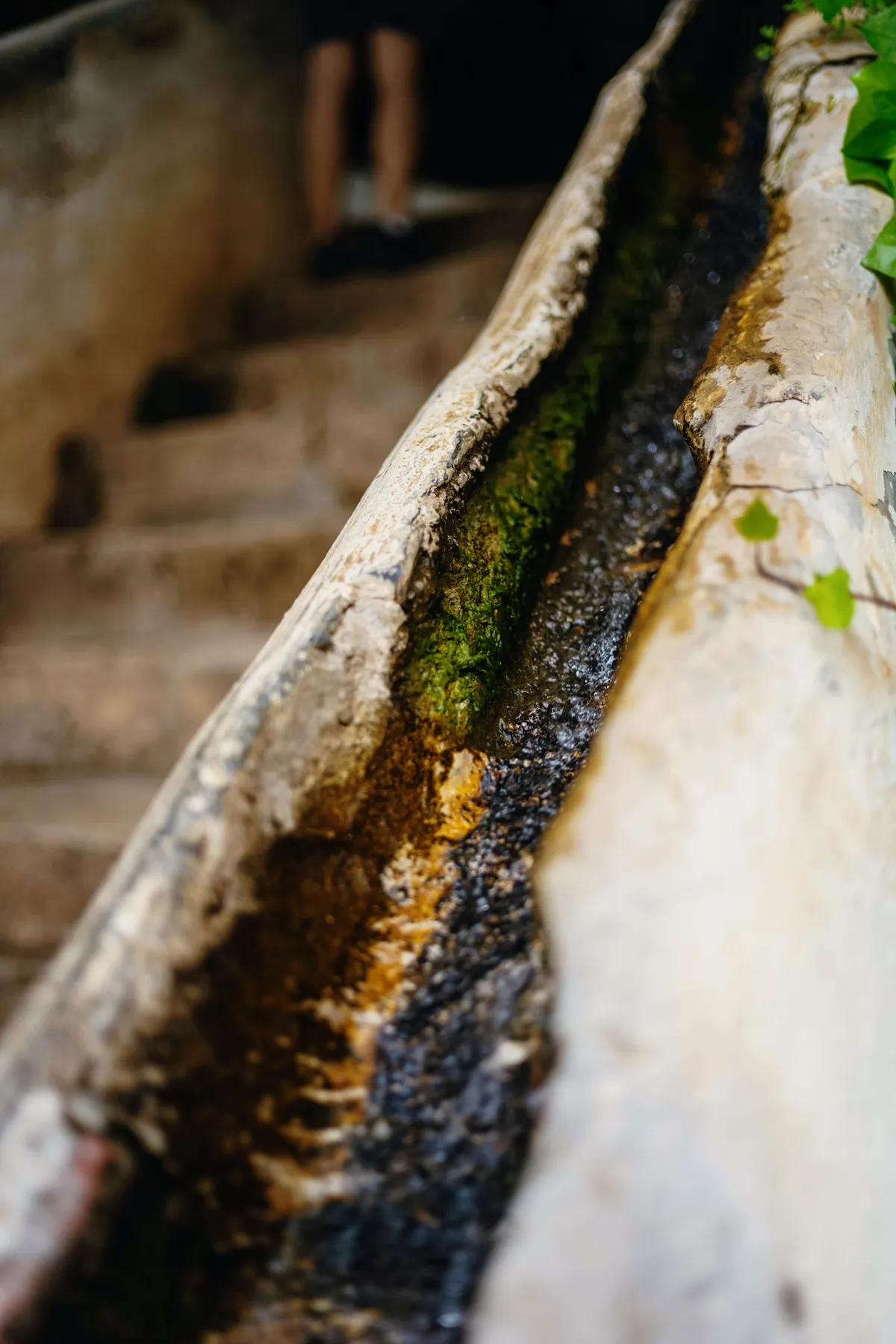 Water threading down a mossy stone runnel