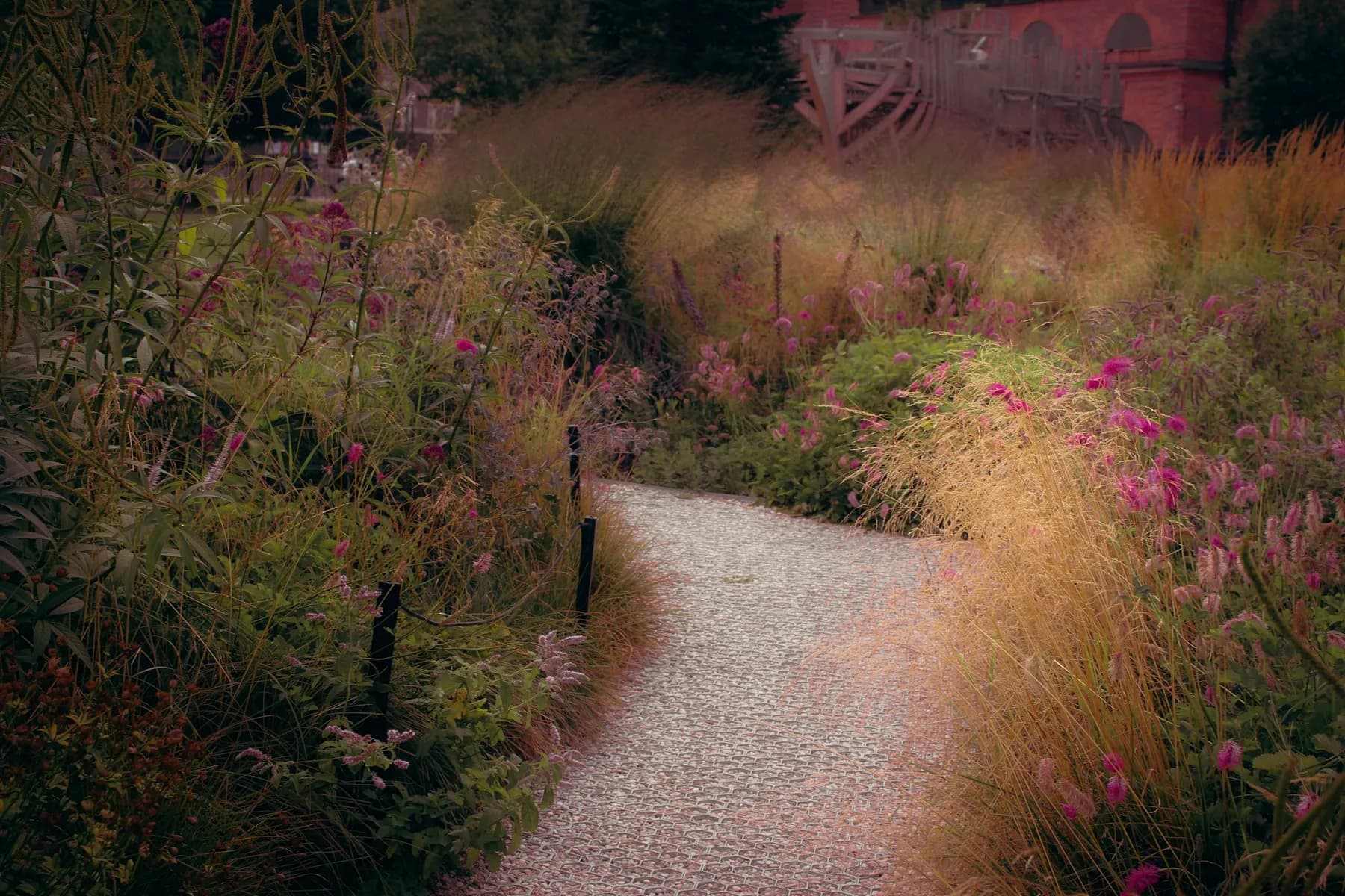 A gravel path curving through a planted meadow of grasses