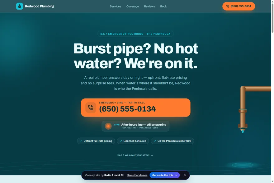 Redwood Plumbing — the demo's front page